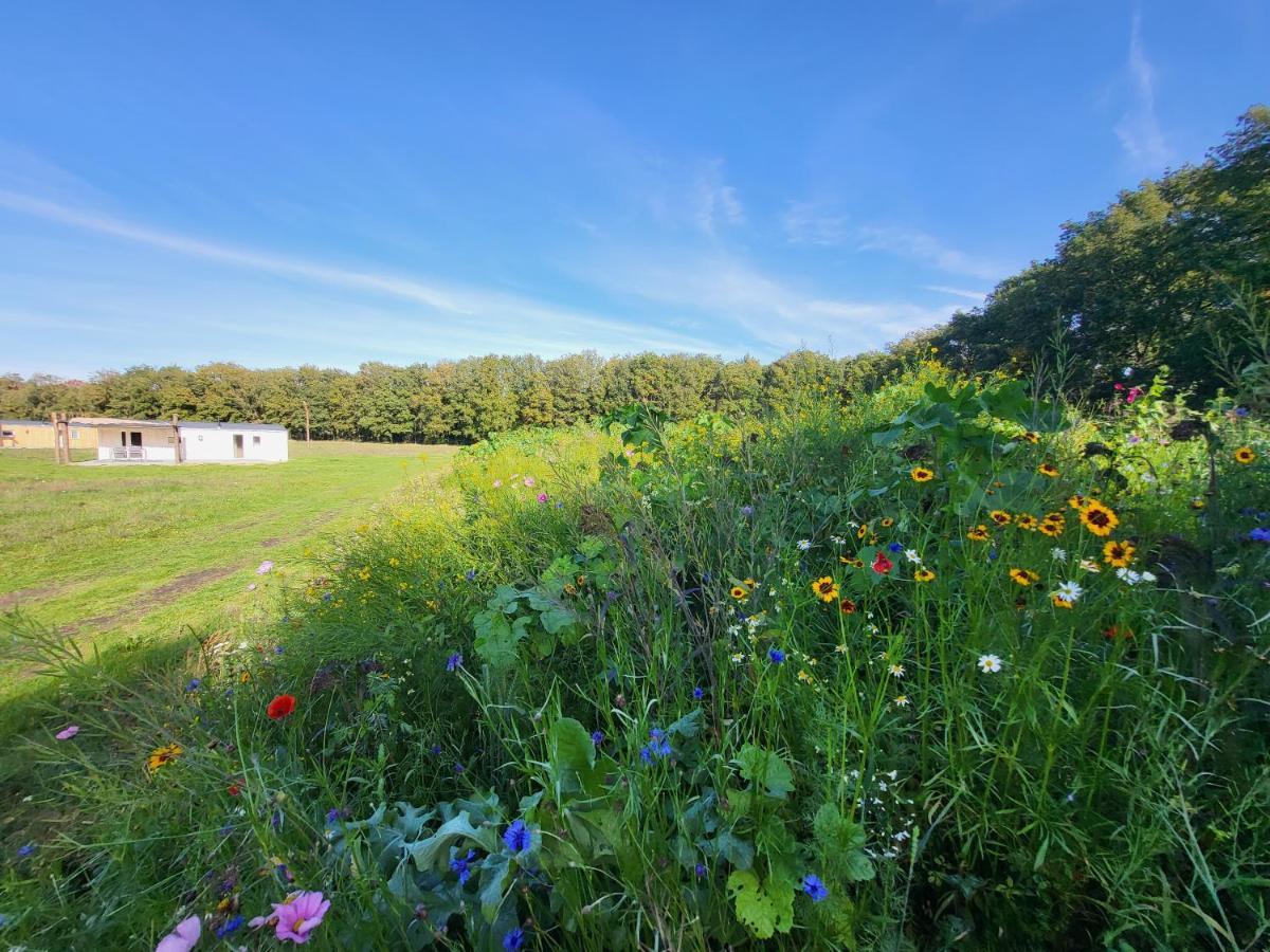 Hoeve Twente - De Bonte Specht Villa Heythuysen Dış mekan fotoğraf