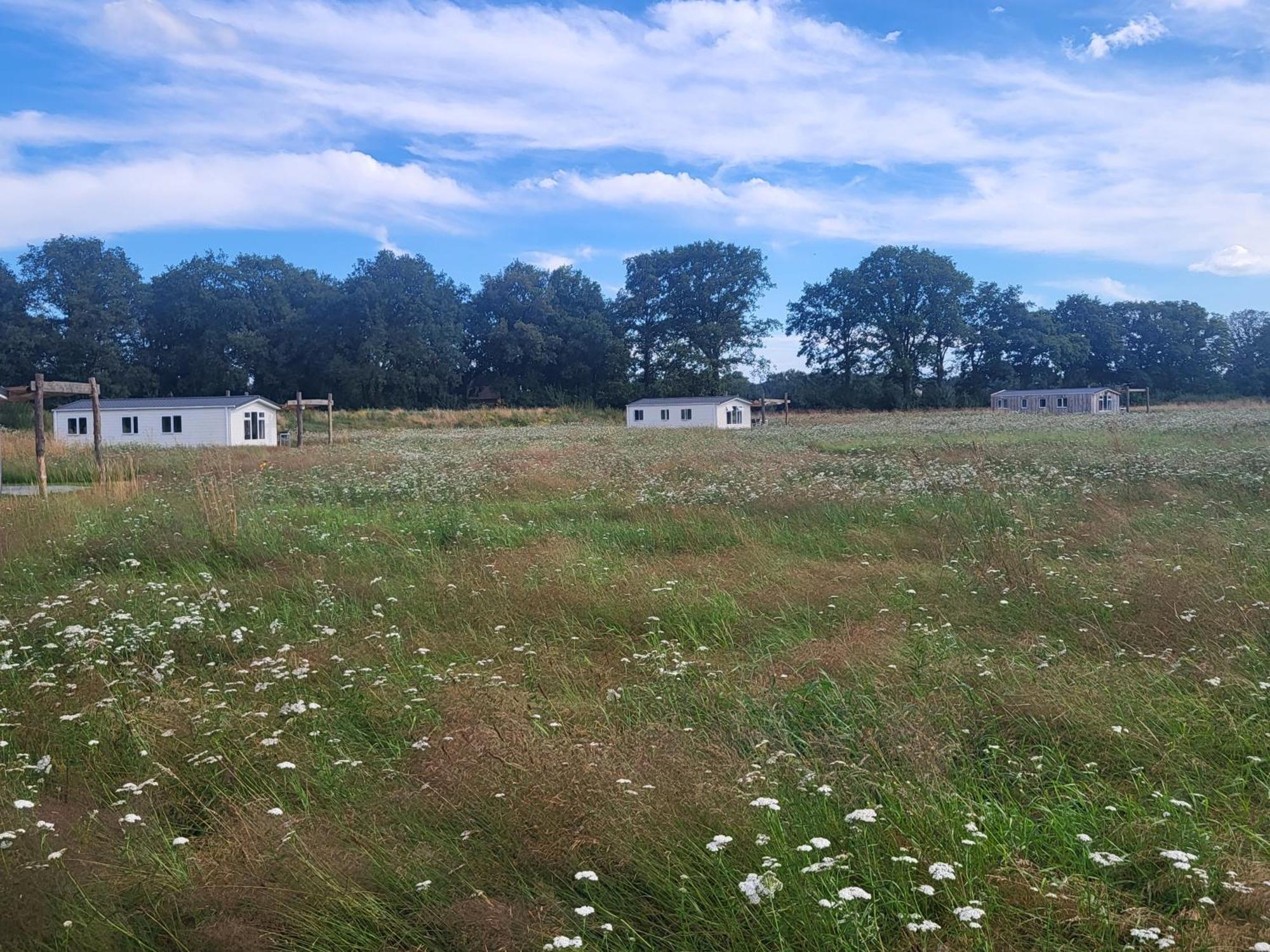 Hoeve Twente - De Bonte Specht Villa Heythuysen Dış mekan fotoğraf