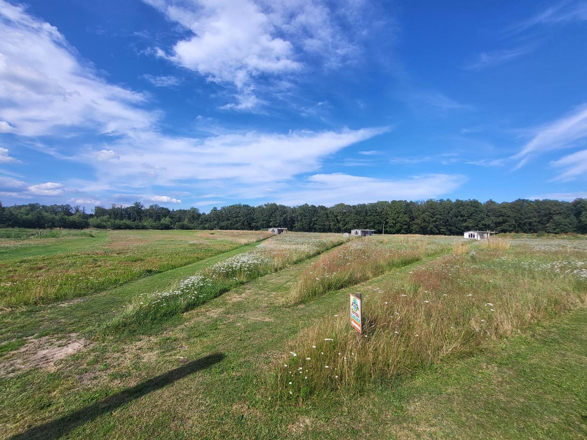 Hoeve Twente - De Bonte Specht Villa Heythuysen Dış mekan fotoğraf